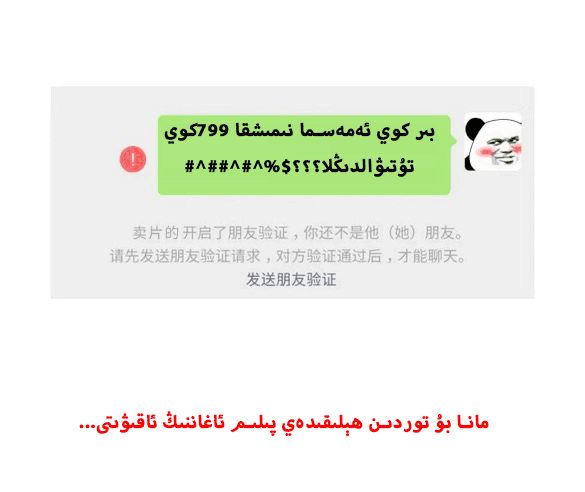 20221113060126996 20221113060126996