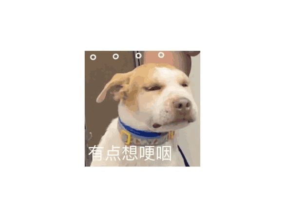 20221113060130516 20221113060130516